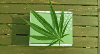 5 Benefits Of Using CBD Products