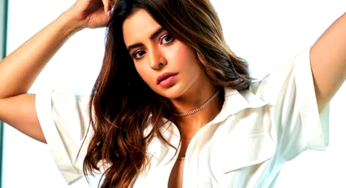आमना शरीफ का संक्षिप्त जीवन परिचय |  (Brief biography of Aamna Sharif)