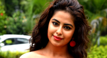 अविका गौर का संक्षिप्त जीवन परिचय। (Brief biography of Avika Gaur)