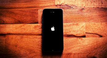 Apple Iphone Exports from India Doubled Between April and August