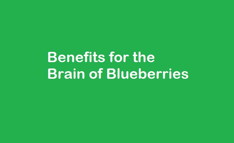 Benefits for the Brain of Blueberries
